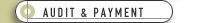 Audit and Payment